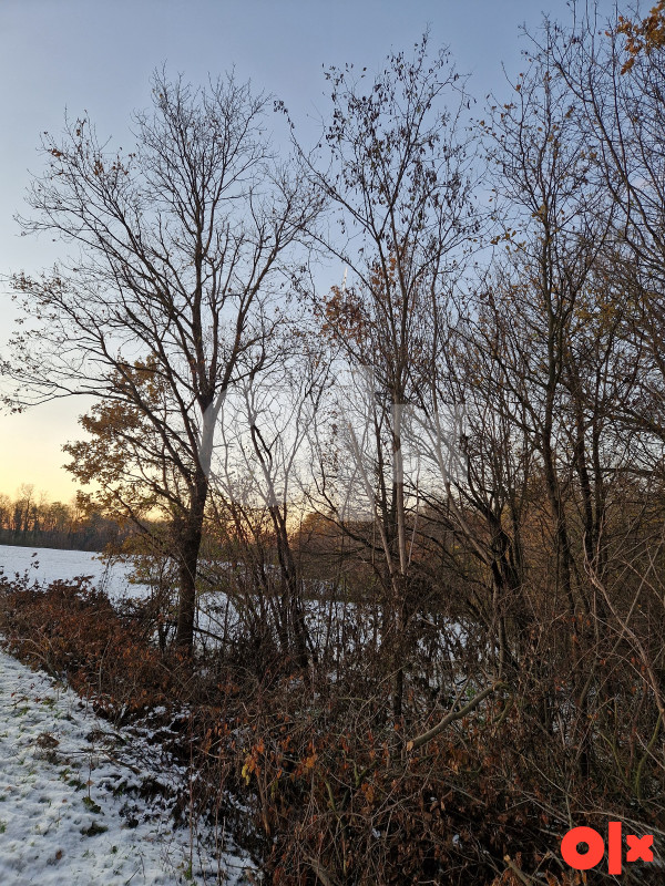 zemljiste gradacac 16347 m2 3